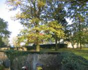 Friedhof Rothschönberg
